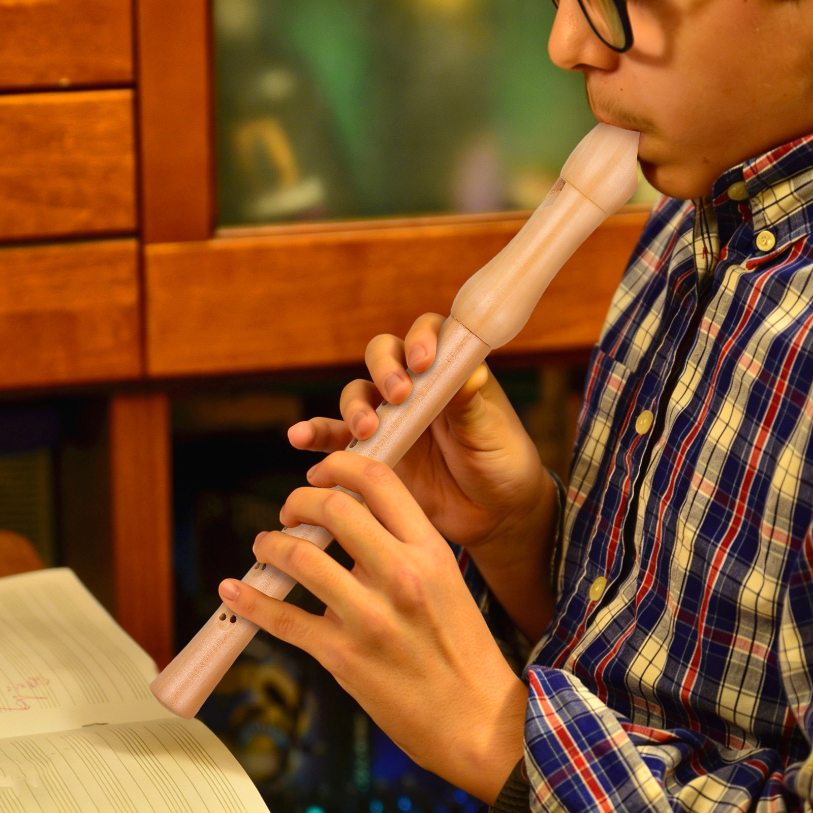 Musical Instrument A Recorder - Soprano Recorder Wooden Eight Hole Wind