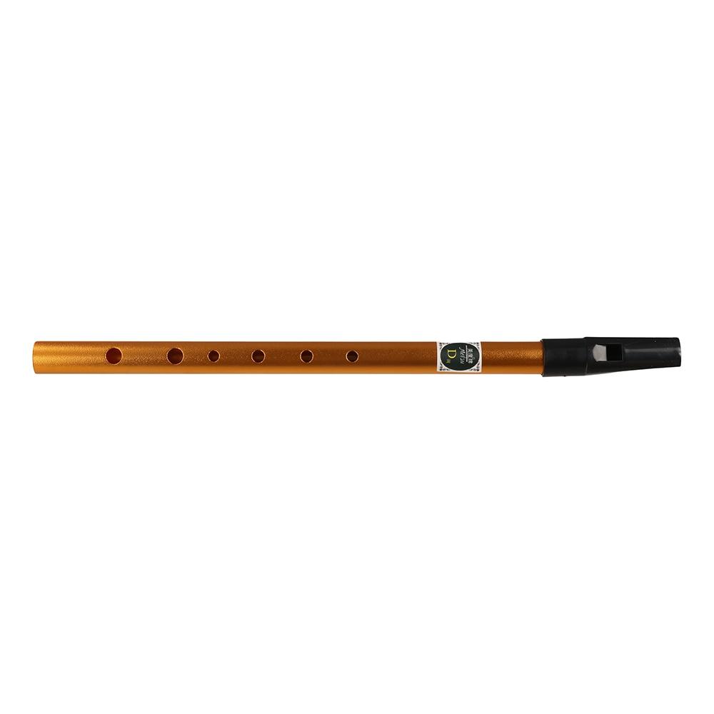 Musical Accessories 6 Hole Iri – Musical Instrument Irish Bewertung und Preis