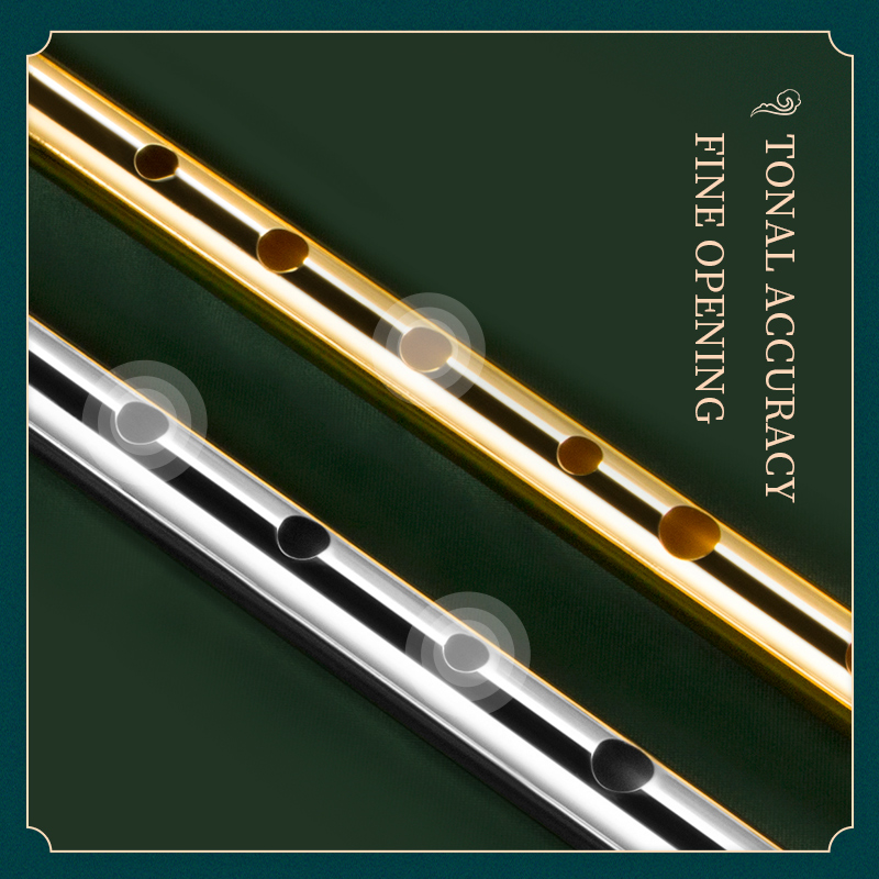 Irish Whistle Flute for Musica – Musical Instrument Irish Bewertung und Preis