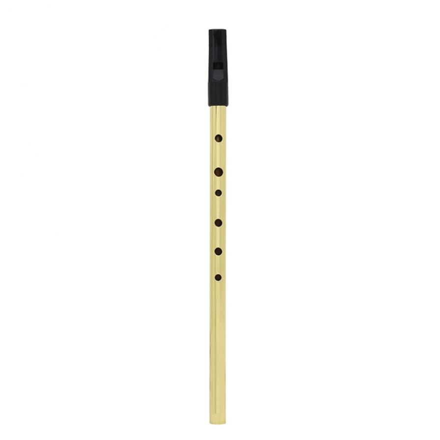 Irish Whistle Soprano Flute D  – Musical Instrument Irish Bewertung und Preis