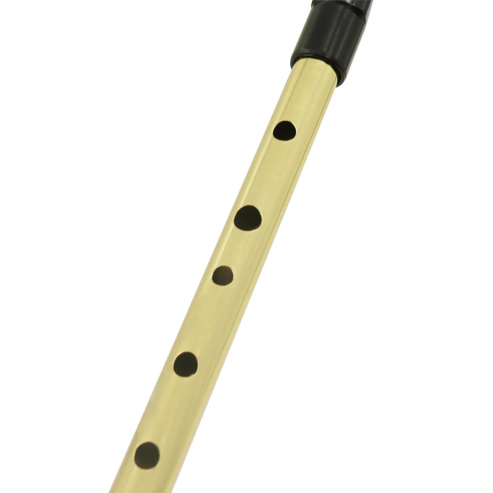 Irish Whistle Soprano Flute D  – Musical Instrument Irish Bewertung und Preis