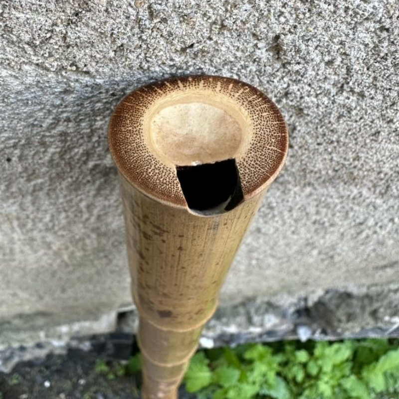 8 Holes Chinese Vertical Bambo – Shakuhachi Bamboo Flute Bewertung und Preis