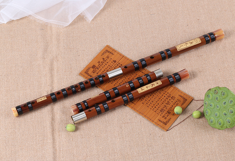 Bamboo Flute Professional Tran – Shakuhachi Bamboo Flute Bewertung und Preis