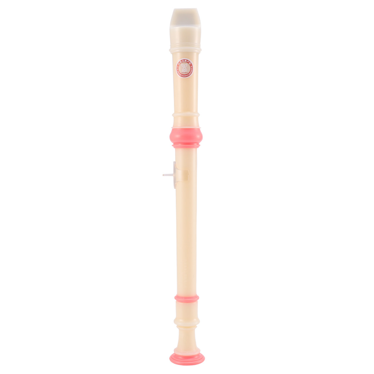 Starter Flute 6-Hole Recorder  – Musical Instrument A Recorder Bewertung und Preis