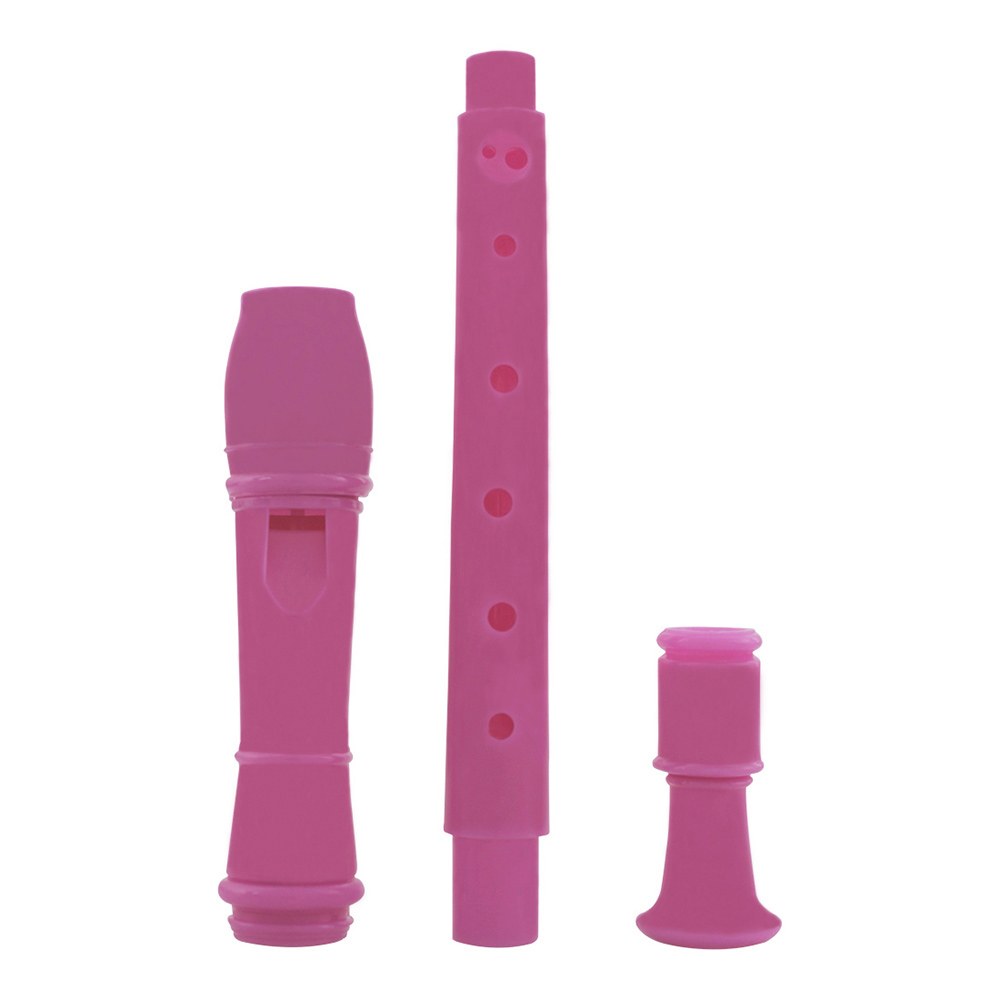 IRIN 8 Hole Flute Clarinet ABS – Musical Instrument A Recorder Bewertung und Preis