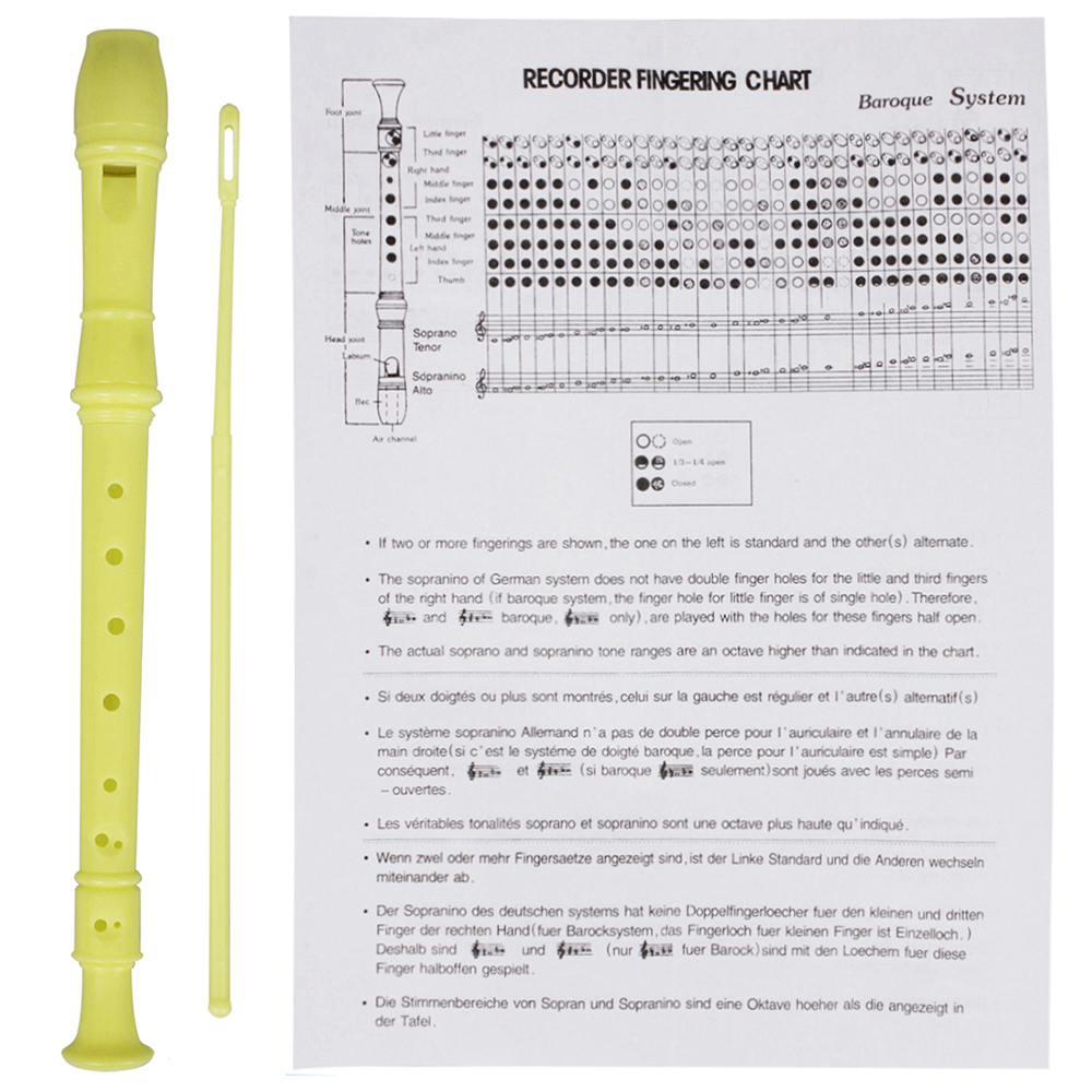 IRIN 8 Hole Flute Clarinet ABS – Musical Instrument A Recorder Bewertung und Preis