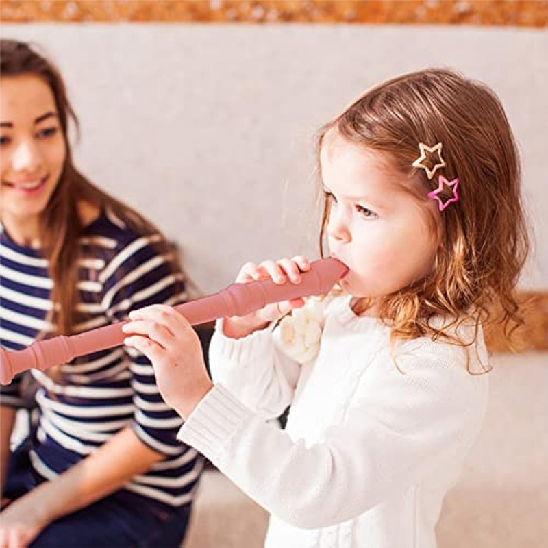 CGDS-ABS Recorder Treble 8-Hol – Musical Instrument A Recorder Bewertung und Preis