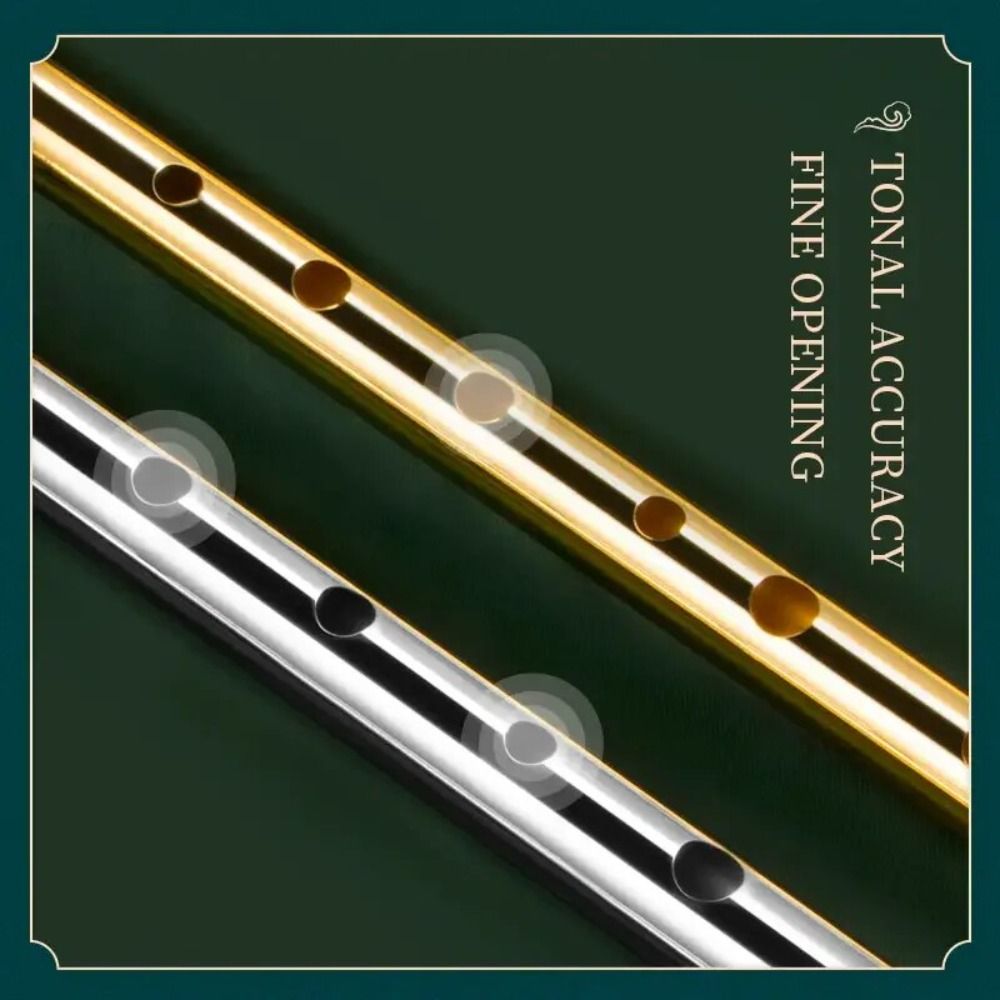 6 Holes C/D Key Irish Whistle  – Musical Instrument Irish Bewertung und Preis