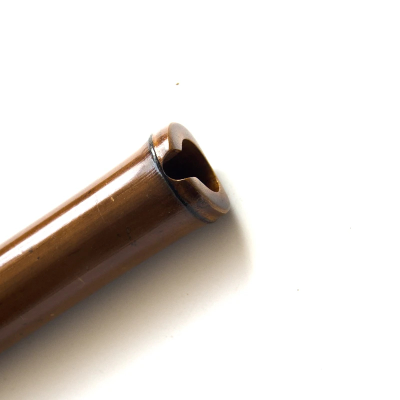 YPXD Professional Nan Xiao Flu – Shakuhachi Bamboo Flute Bewertung und Preis